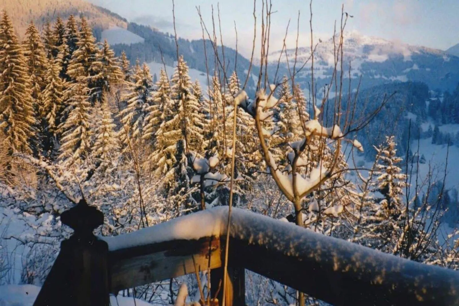 Gstaad Paradise View Chalet with Outdoor Jacuzzi-Uitzicht winter