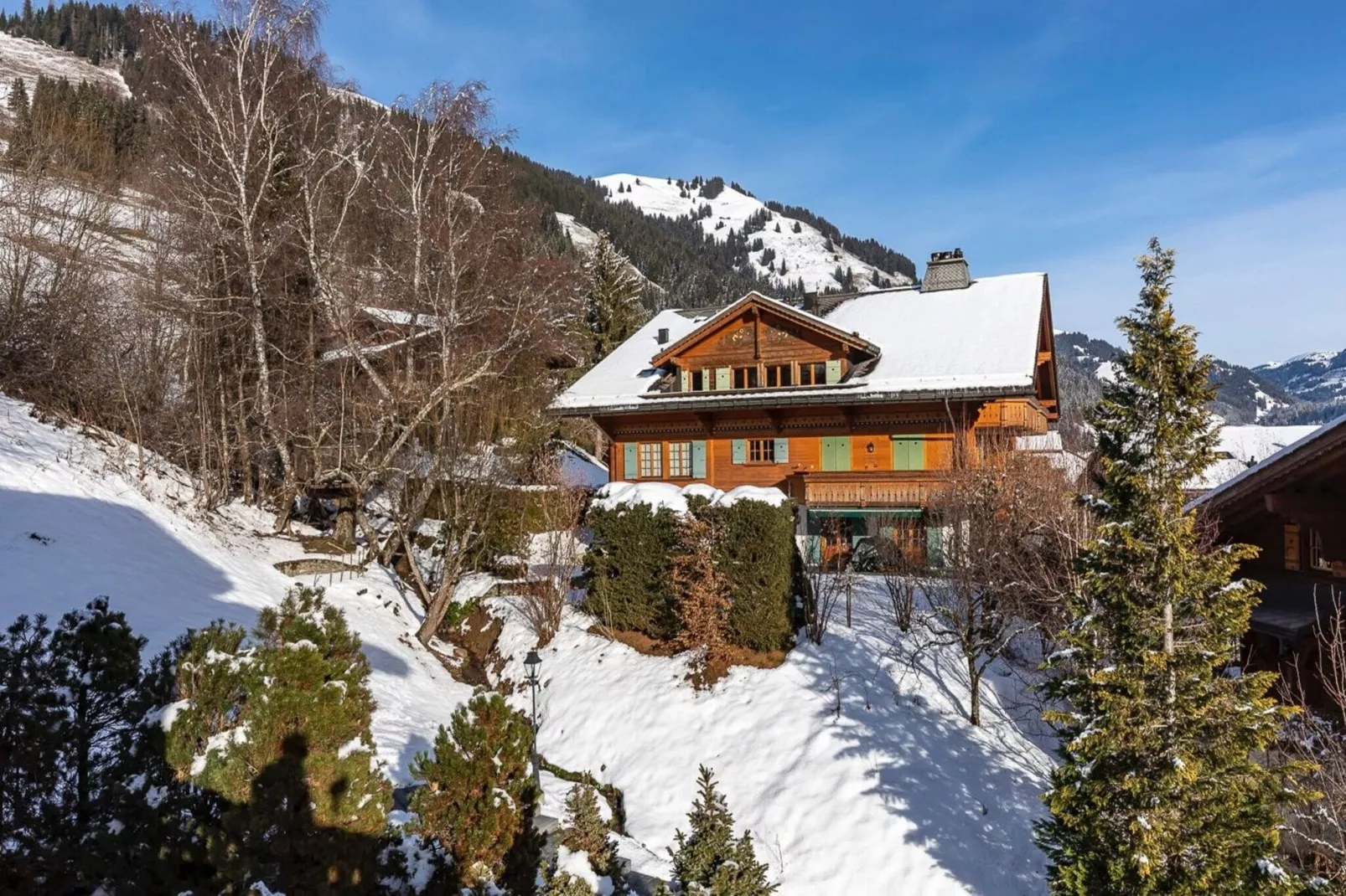 Beautiful Alpine Luxury Flat in Rougemont