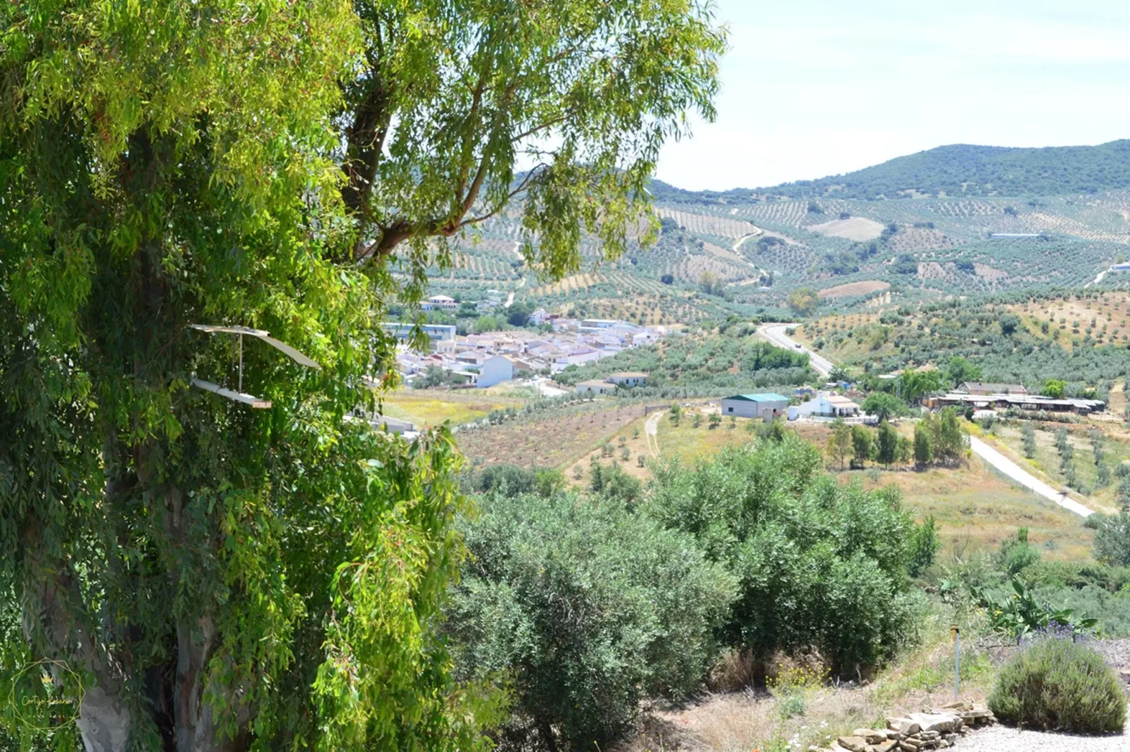 Cortijo Rosario