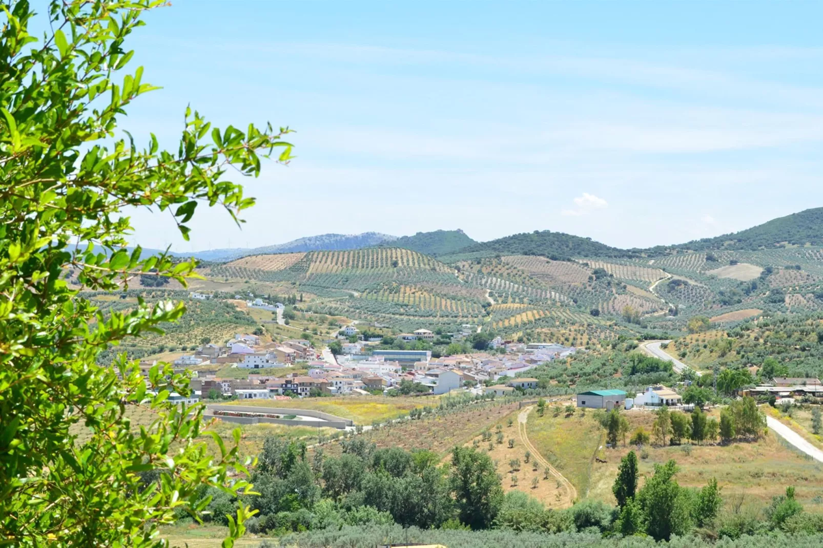 Cortijo Rosario-Uitzicht zomer