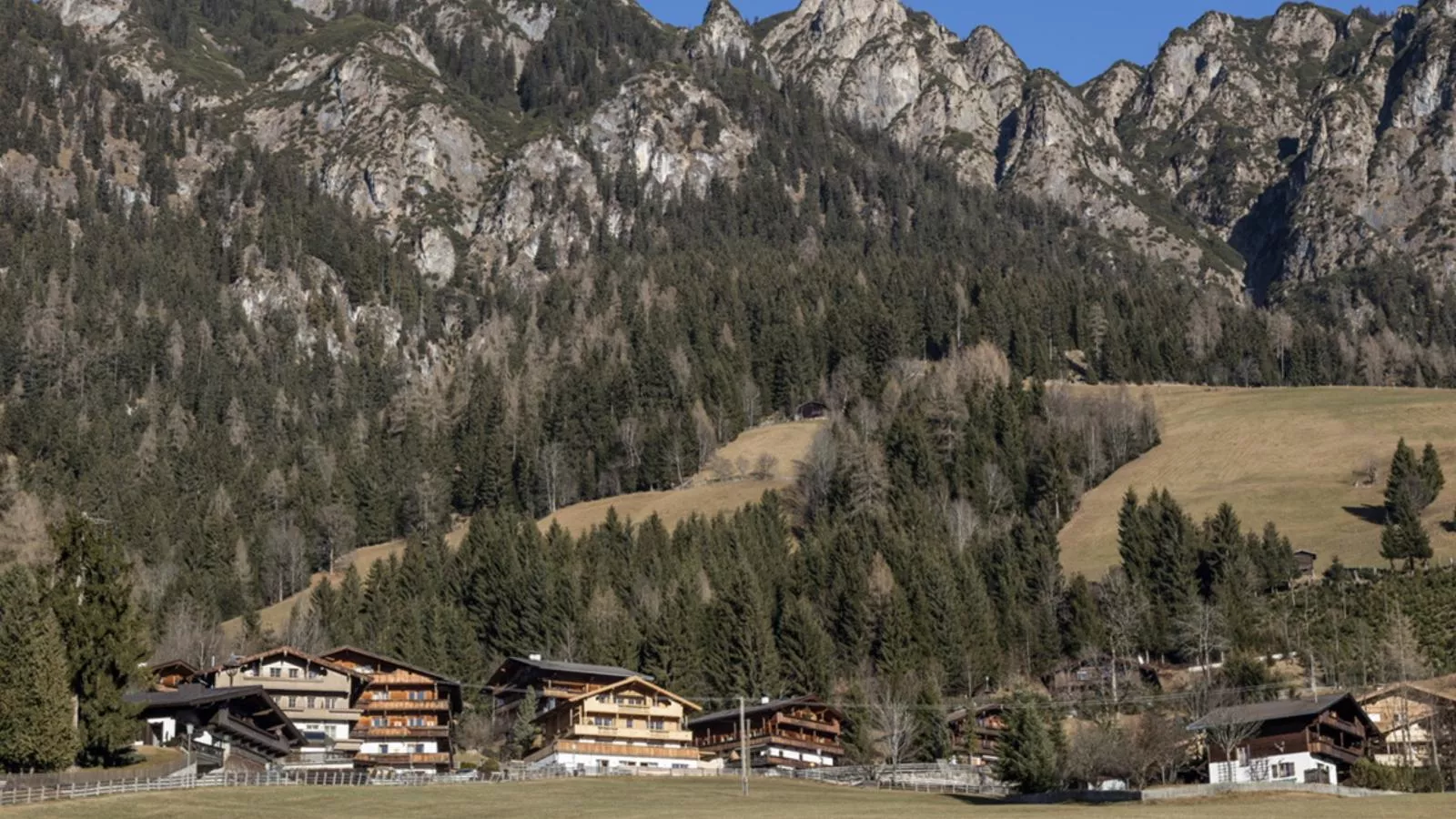 Alpbach Lodge Chalet Superior-Buitenkant zomer