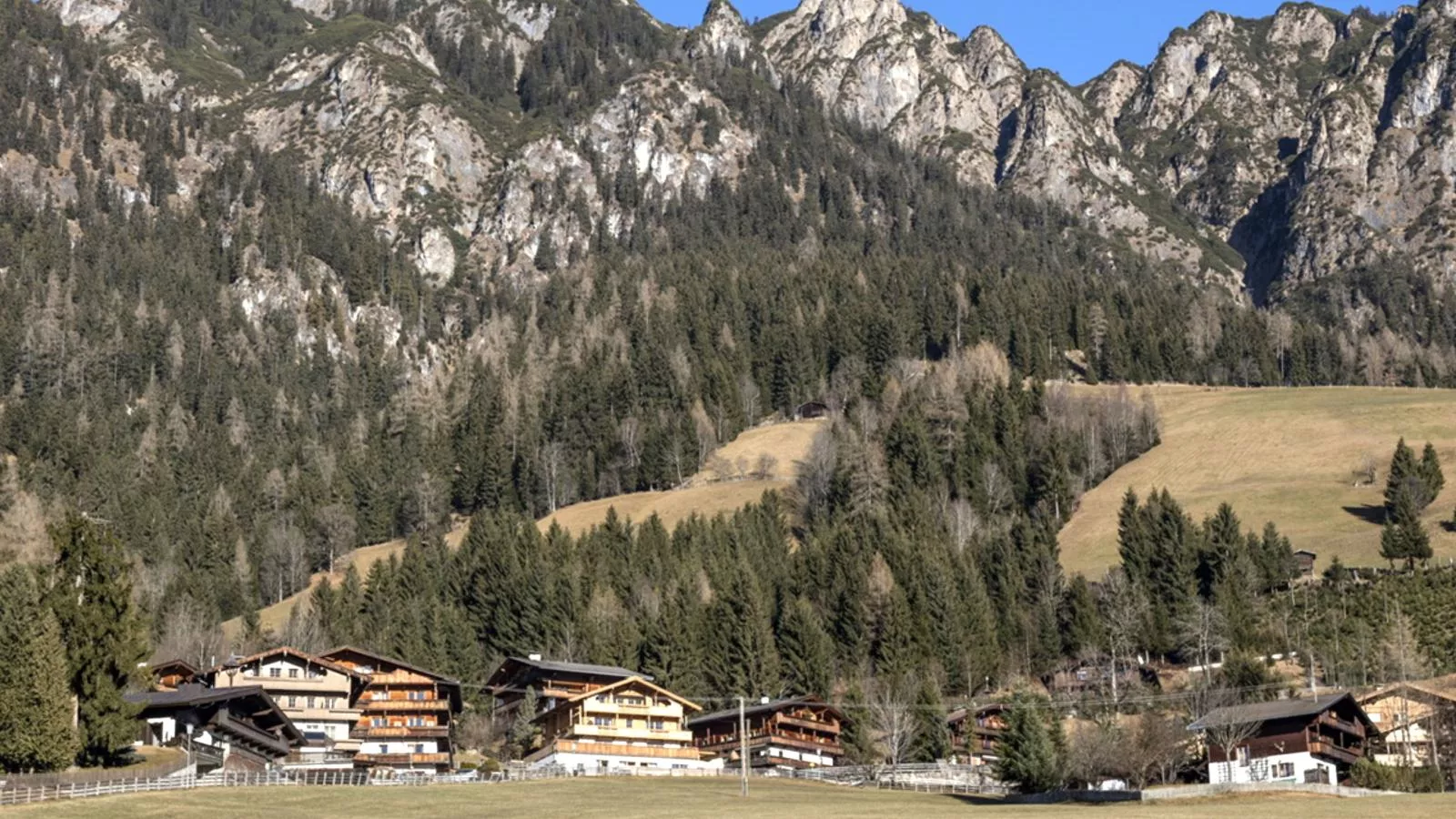 Alpbach Lodge III und IV Superior-Buitenkant zomer