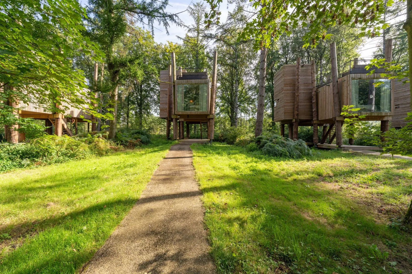 The TreeLoft by YourNature-Tuinen zomer