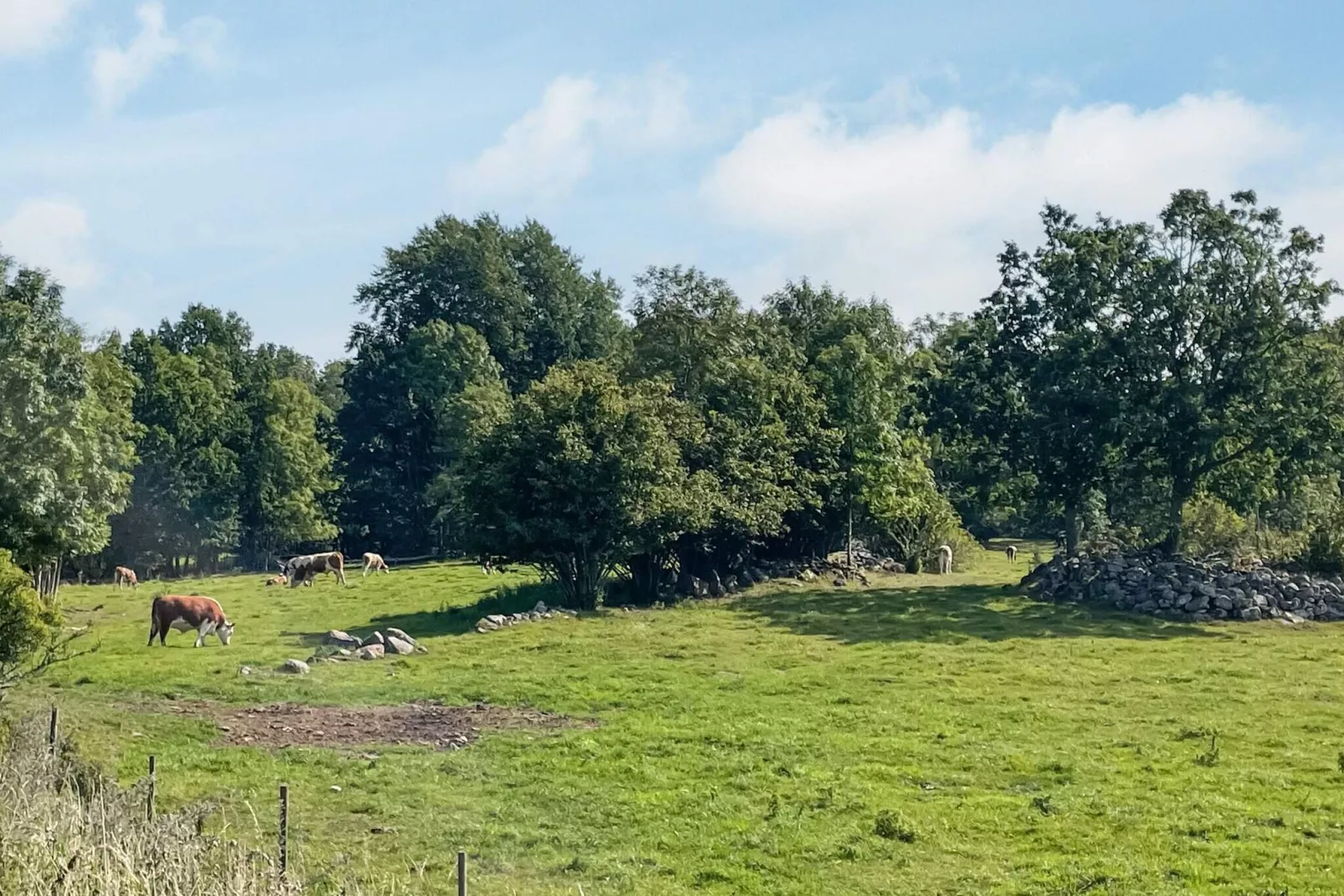 4 Personen vakantie huis in VIRSERUM-Niet-getagd