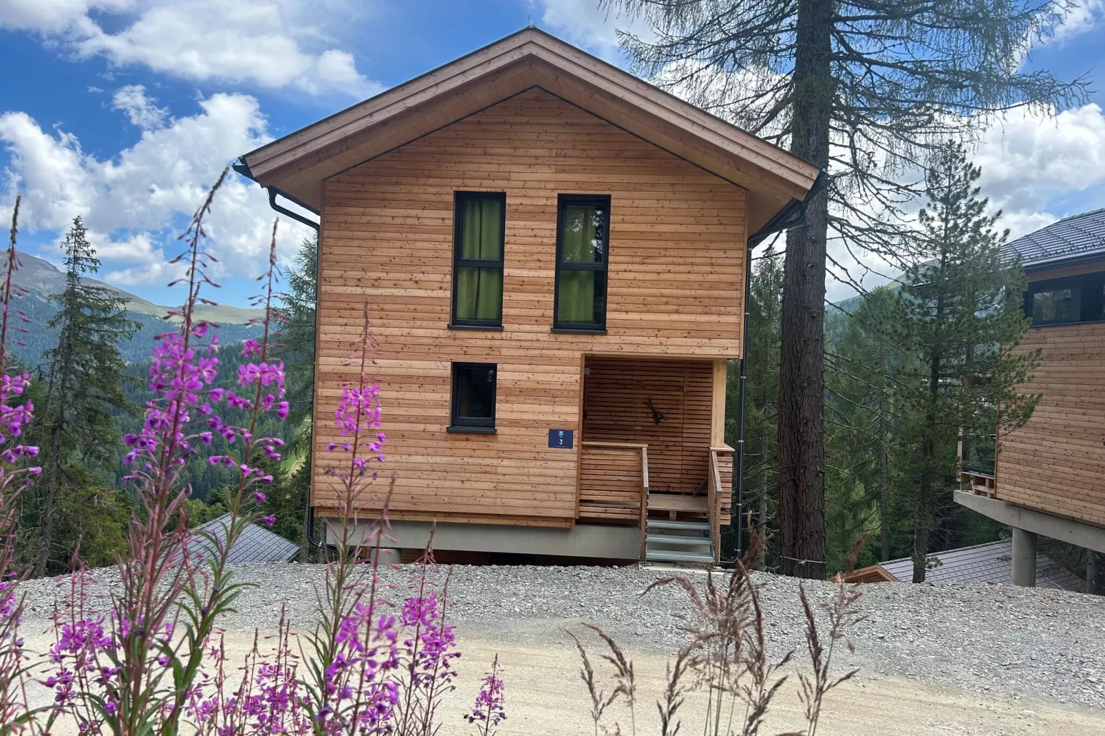 Naturchalets Turracher Höhe 14-Buitenkant zomer