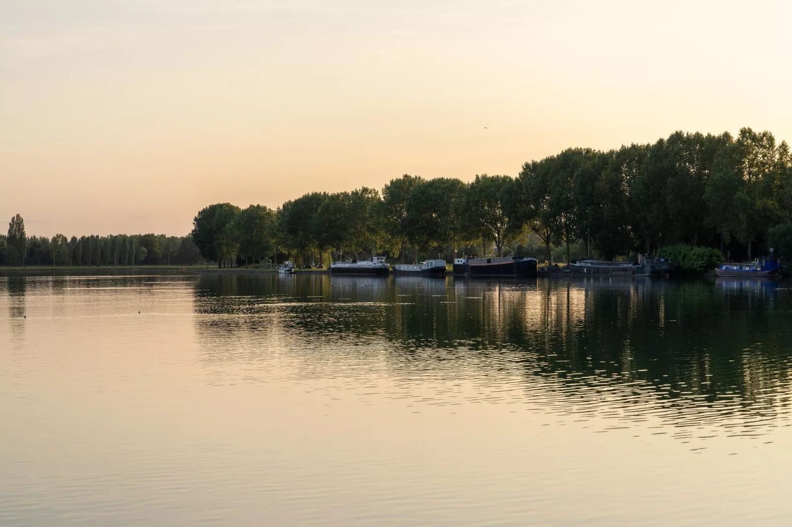 The Cottage by YourNature-Gebieden zomer 1km