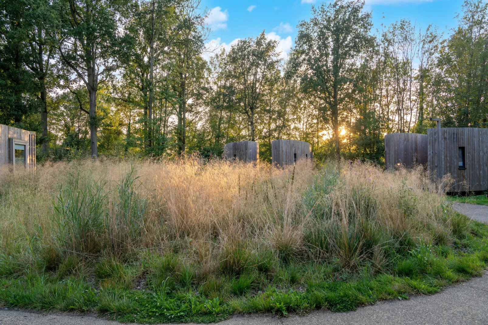 The Lodge by YourNature-Tuinen zomer