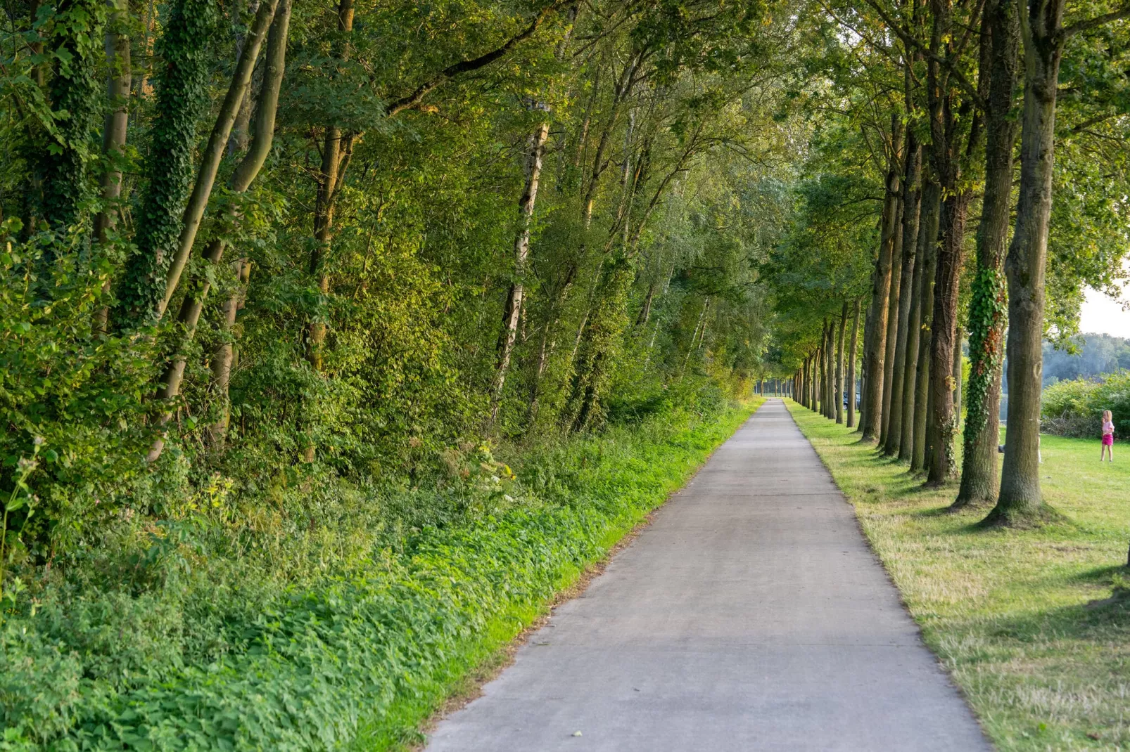 The Large Leaf by YourNature-Gebieden zomer 5km