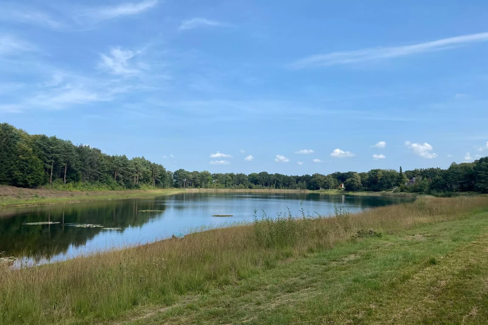 Ferienhaus Svenja Wiefelstede-Lehe-Gebieden zomer 1km