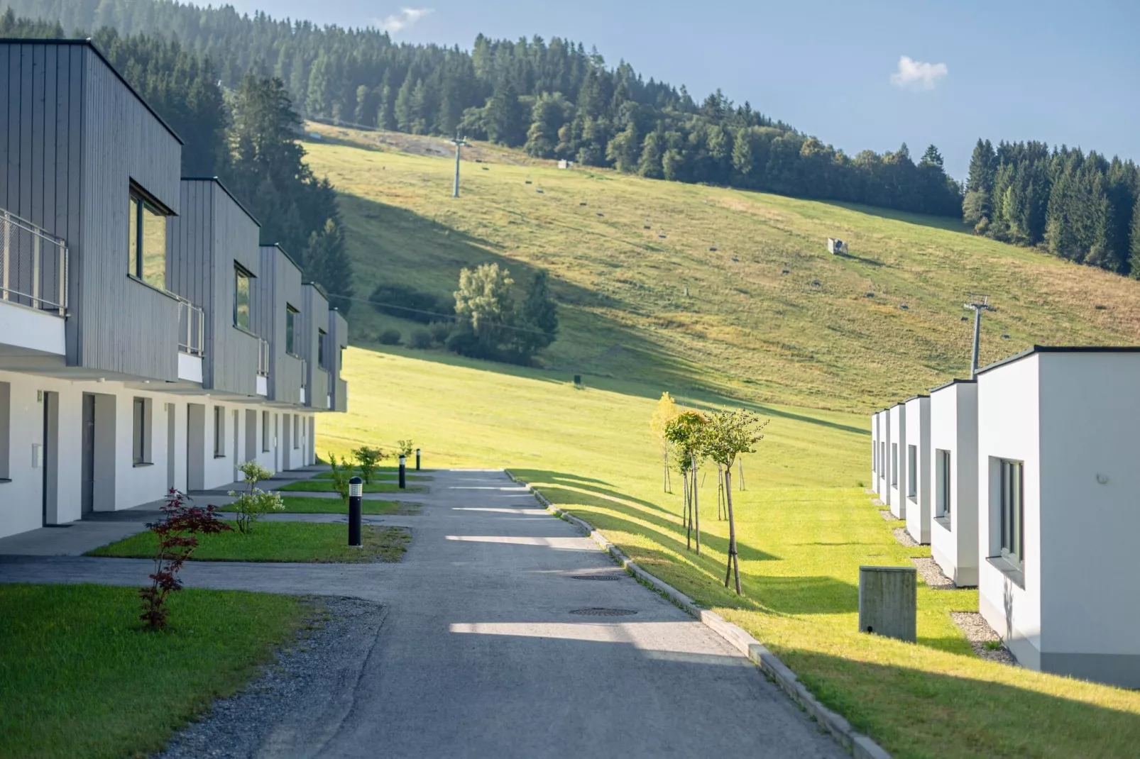 Naturpark Chalets 11-Uitzicht zomer