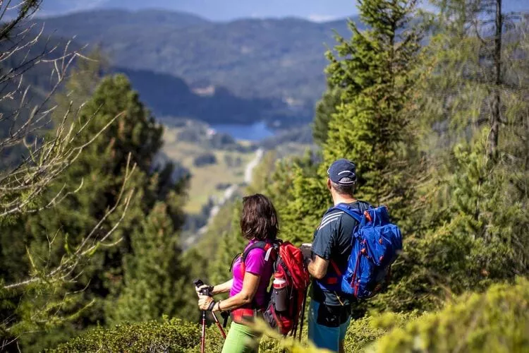 Feriendorf Murau 2a-Gebieden zomer 20km