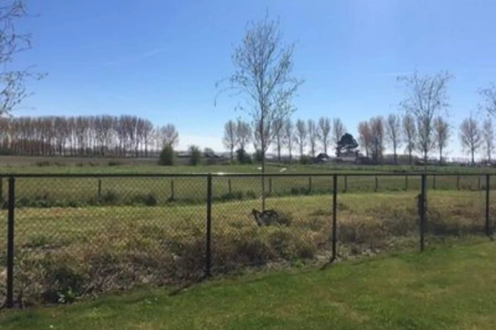 Landgoed de Lente 12 Krokus Breskens-Uitzicht zomer