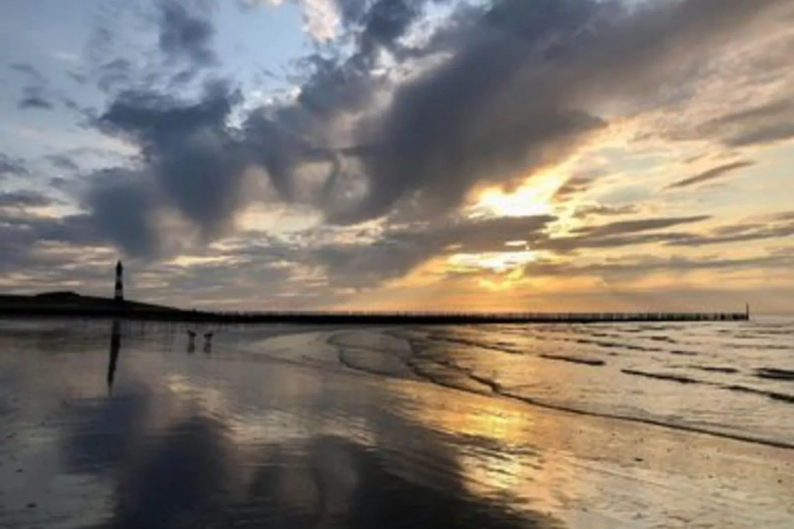 Fort Soleil 42 Zeezwaluw Breskens-Gebieden zomer 5km