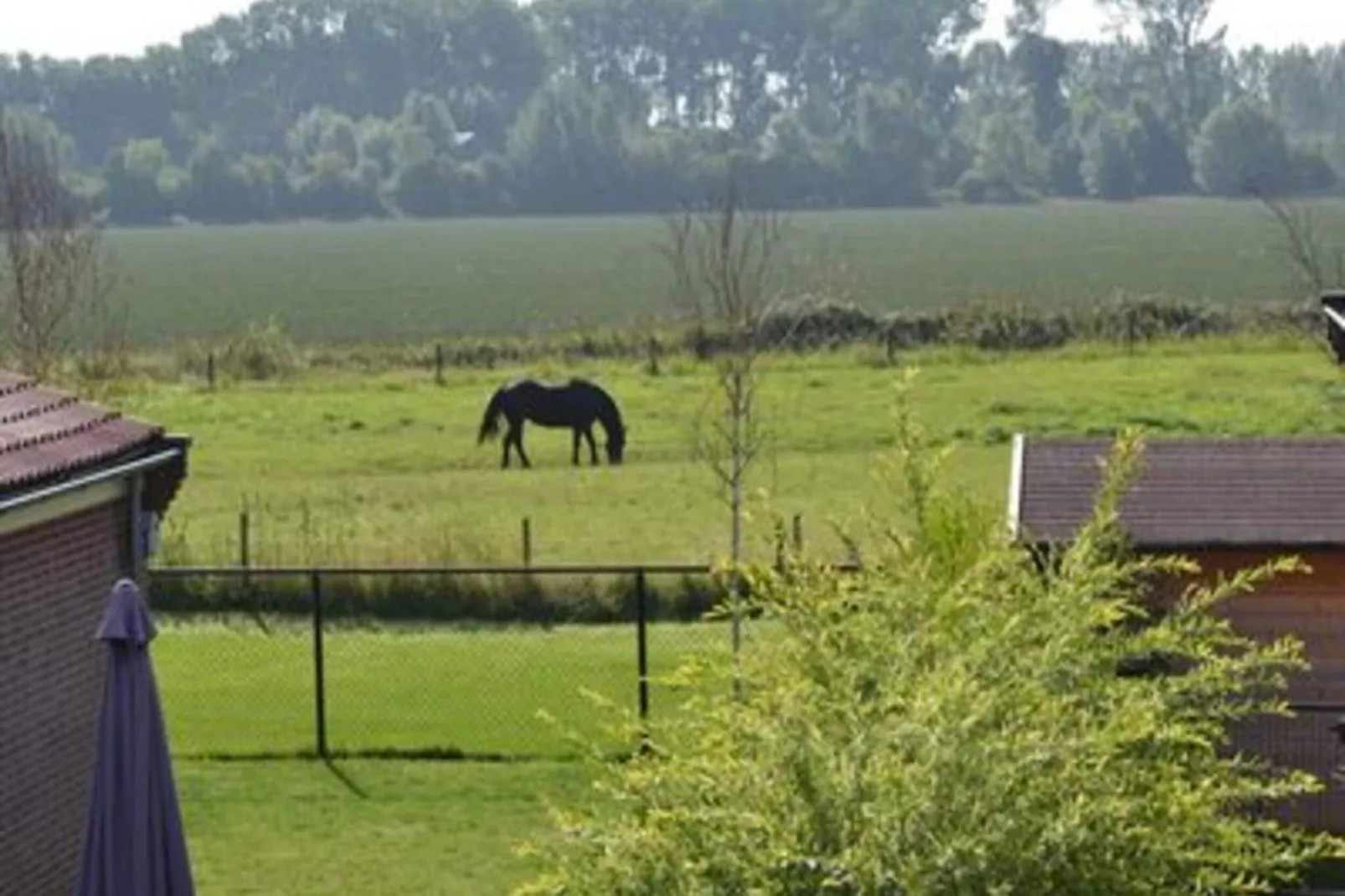 Landgoed de Lente 36 Krokus Breskens-Uitzicht zomer