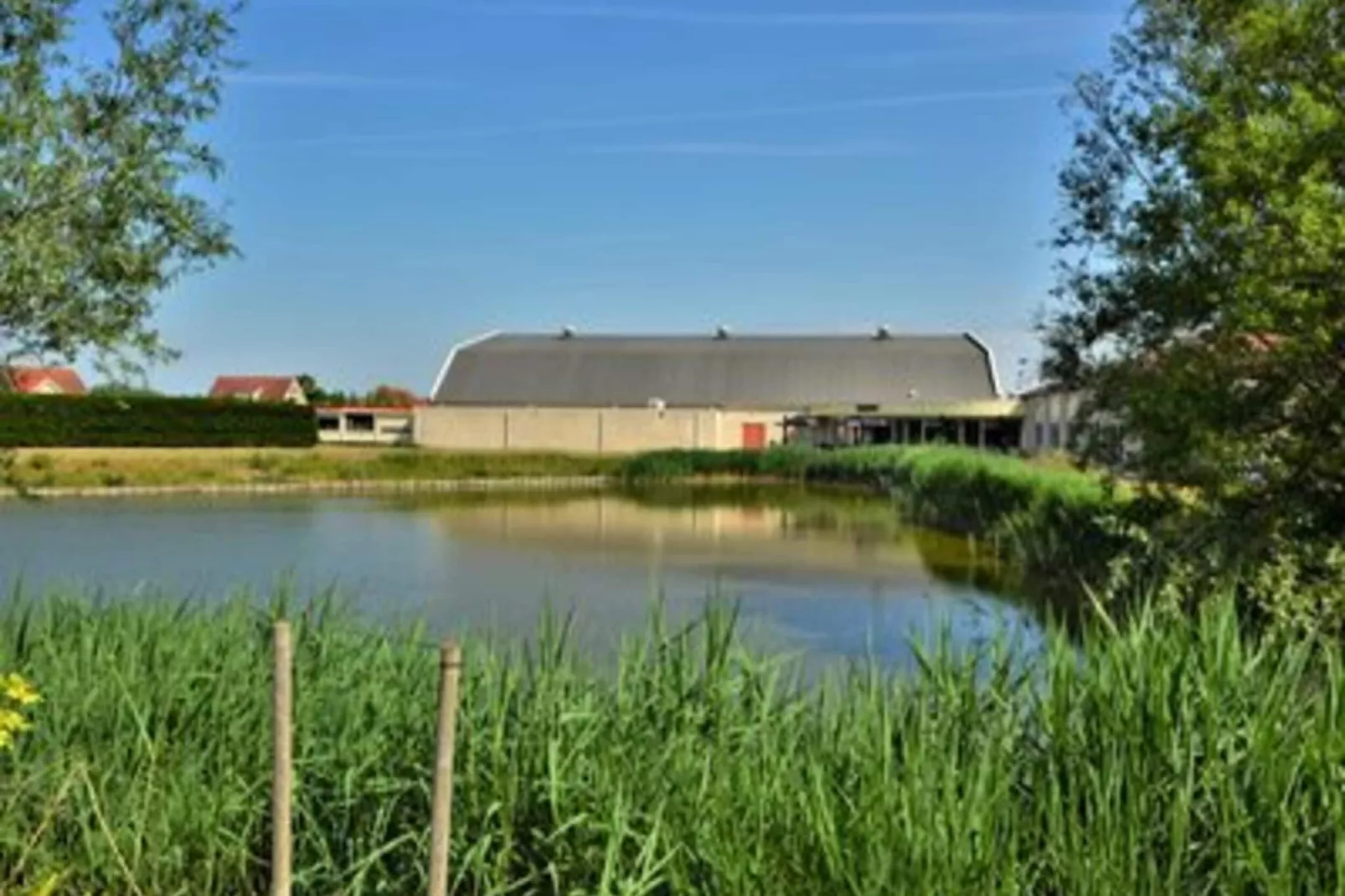 Scheldeveste 47 Zwin Breskens-Uitzicht zomer