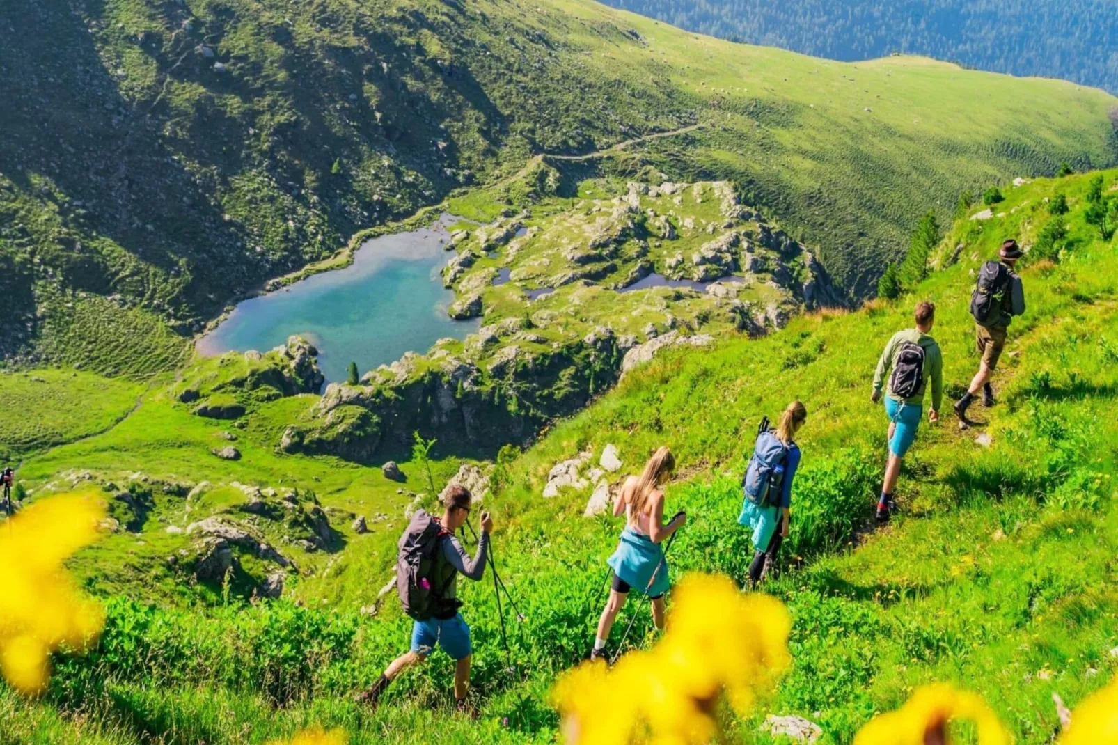 Alpenpark Turrach 2-Gebieden zomer 5km