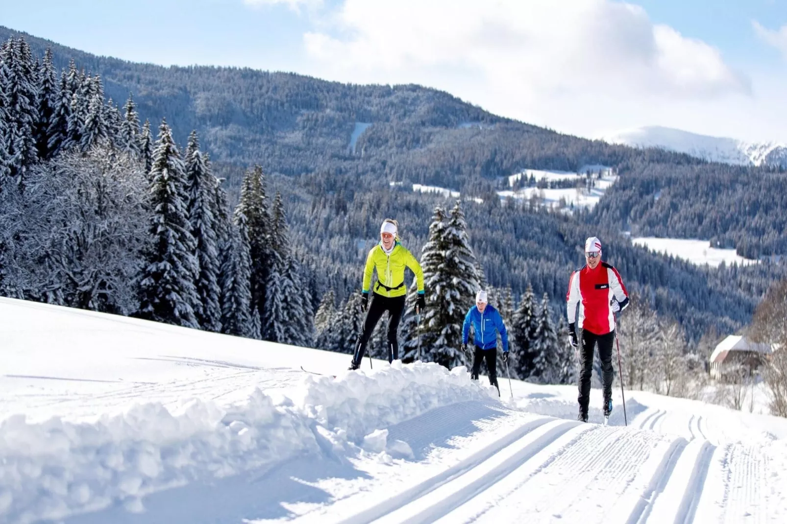 Alpenpark Turrach 2-Gebied winter 5km