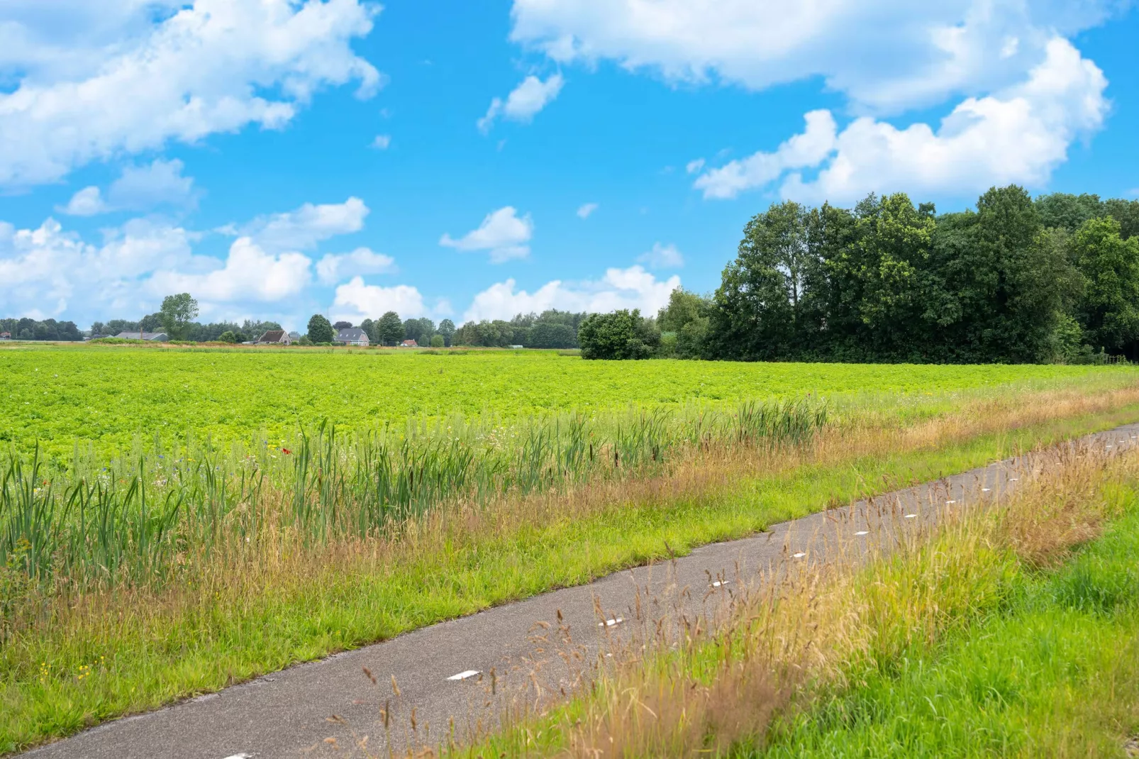 Luxe vakantiehuis Veluwe met Wellness-Gebieden zomer 5km