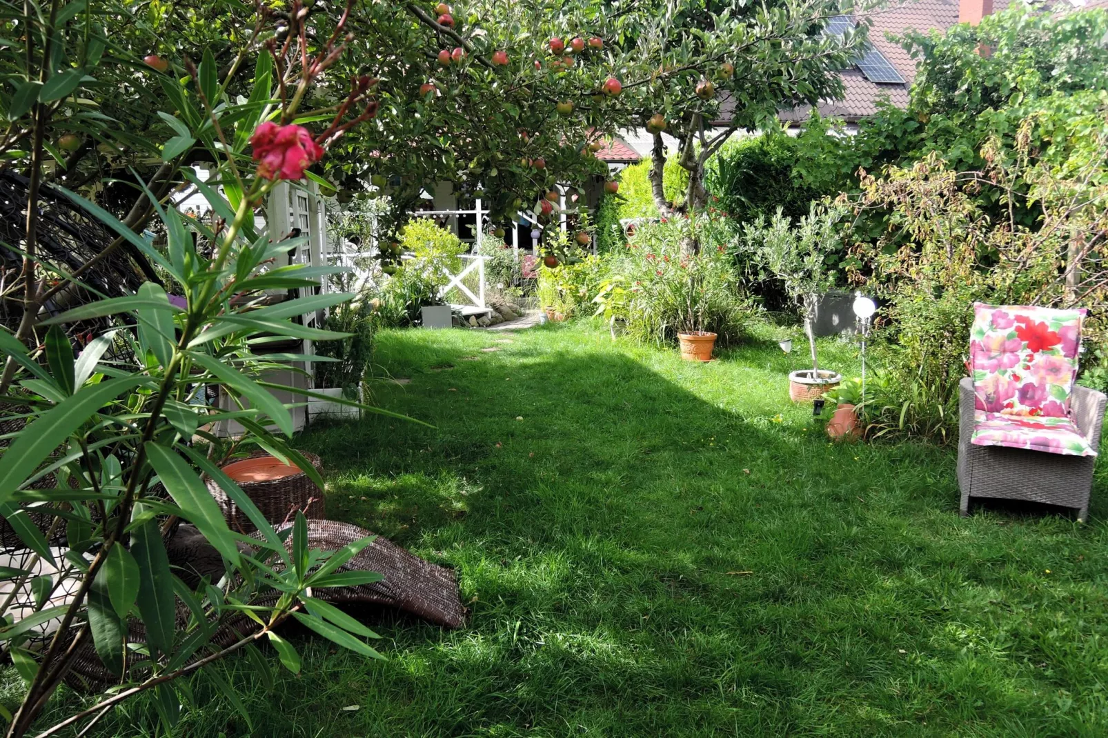 Dom wakacyjny w Świnoujściu ul Hetmańska-Tuinen zomer