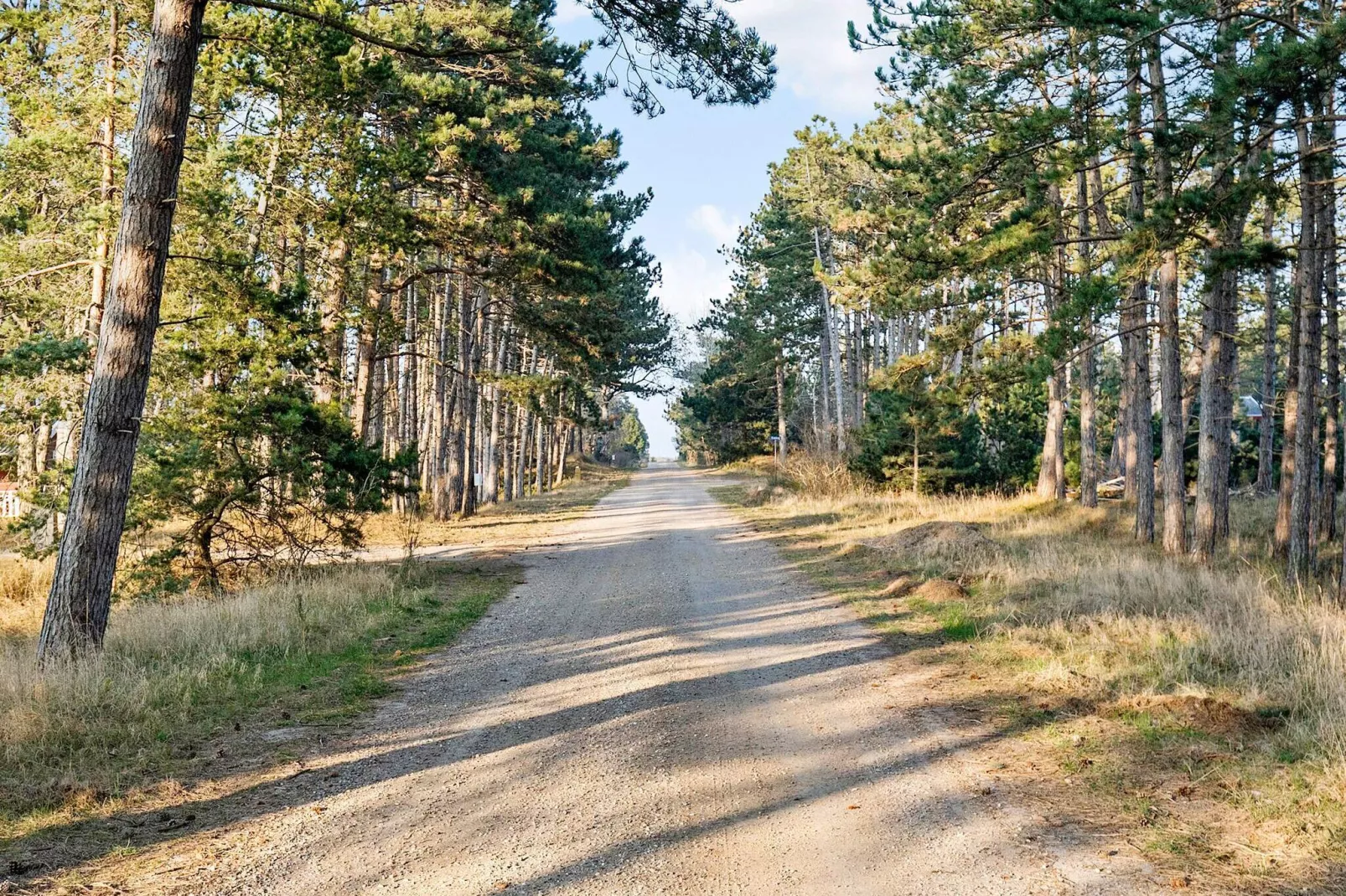 8 persoons vakantie huis in Sjællands Odde-Buitenlucht