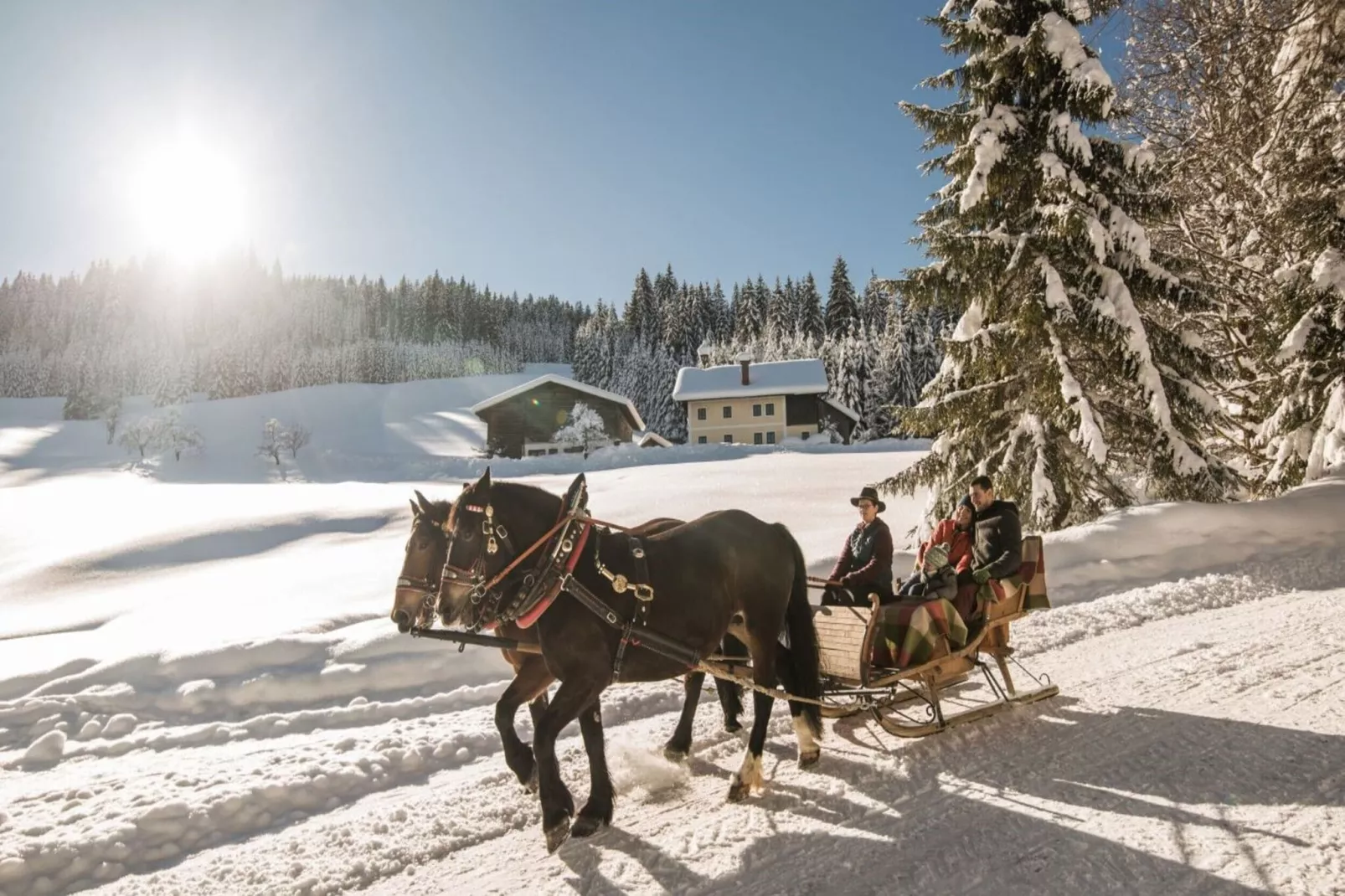 Hideaway Dachstein West 1-Gebied winter 5km