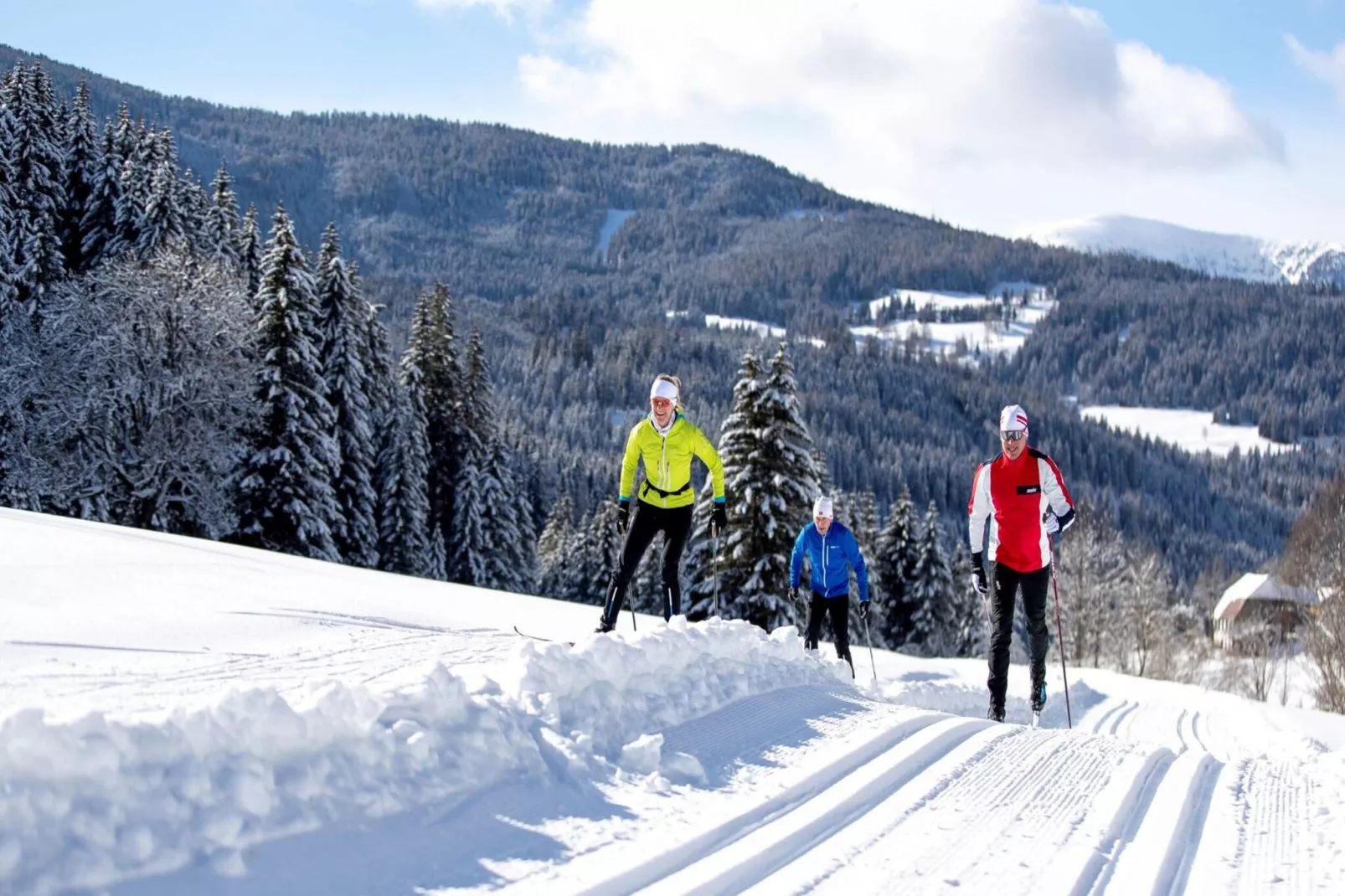 Alpenpark Turrach 5-Gebied winter 20km