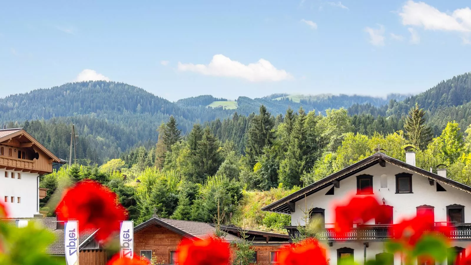 Zur Alten Schmiede-Uitzicht zomer