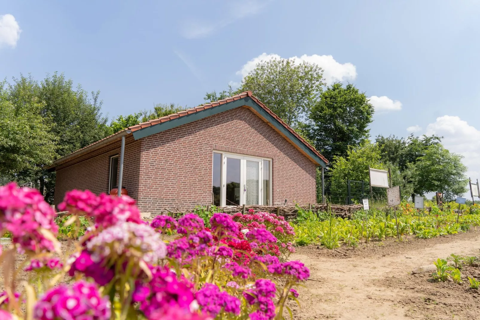 Landhoeve-Buitenkant zomer