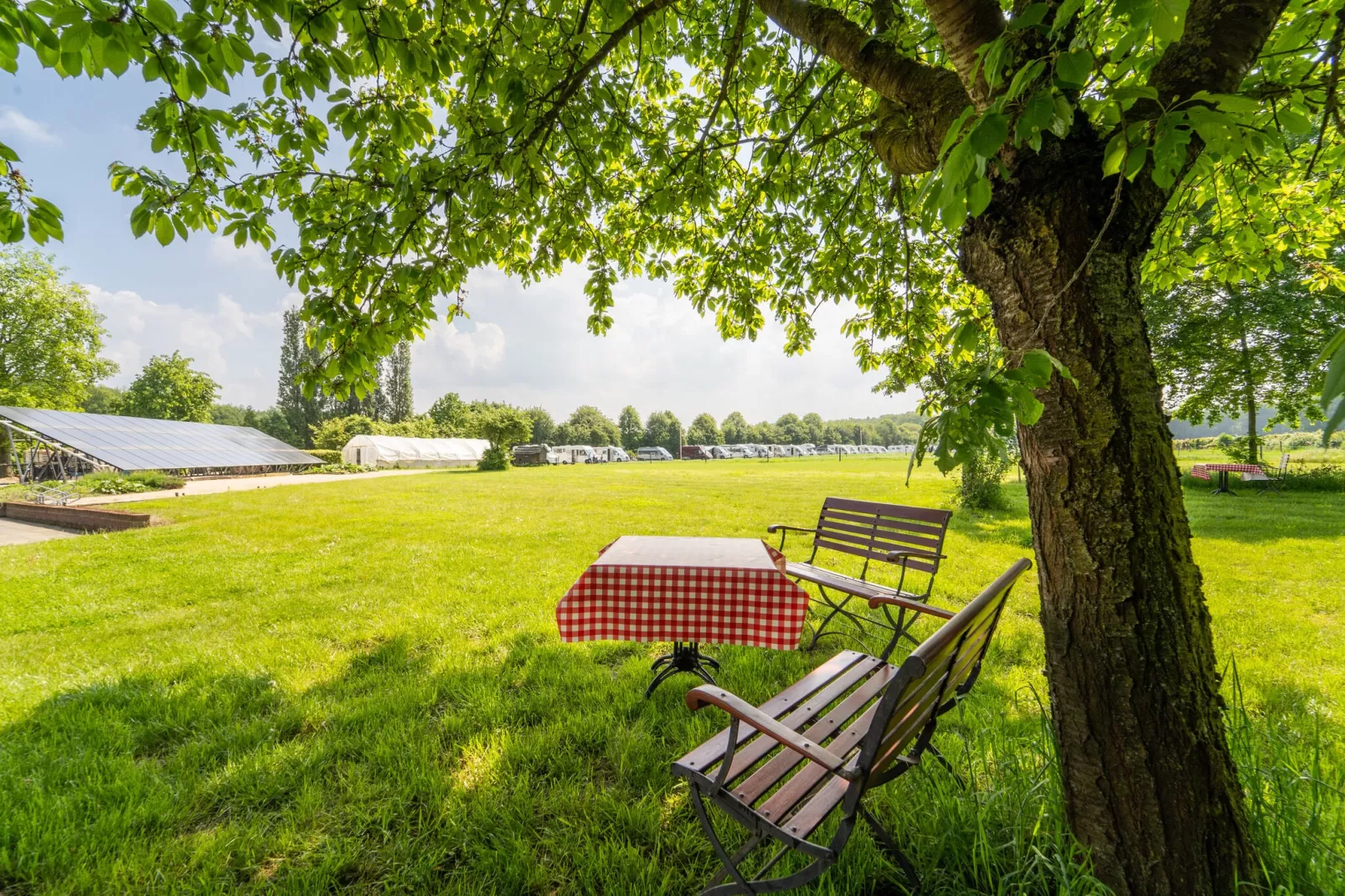 Landhoeve-Tuinen zomer