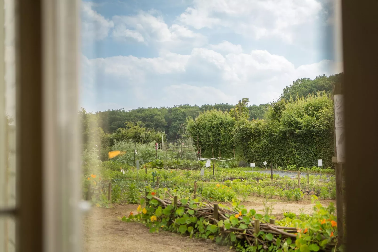 Landhoeve-Uitzicht zomer