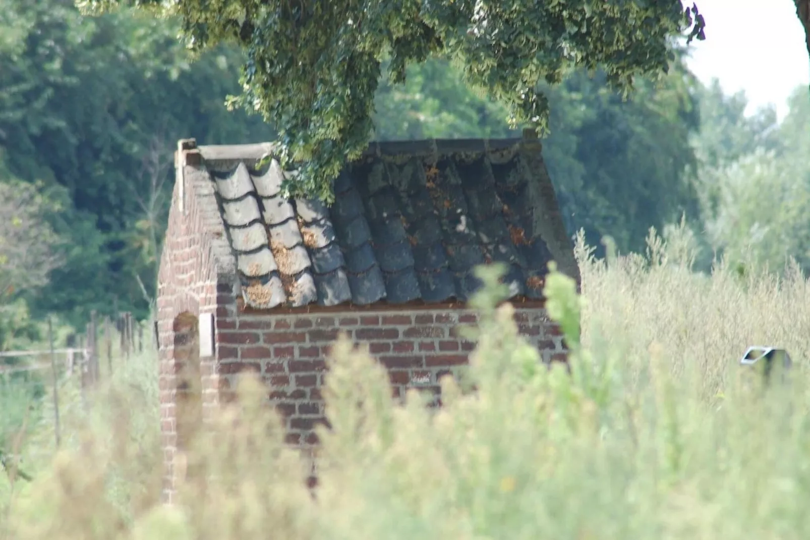 Landhoeve-Gebieden zomer 5km