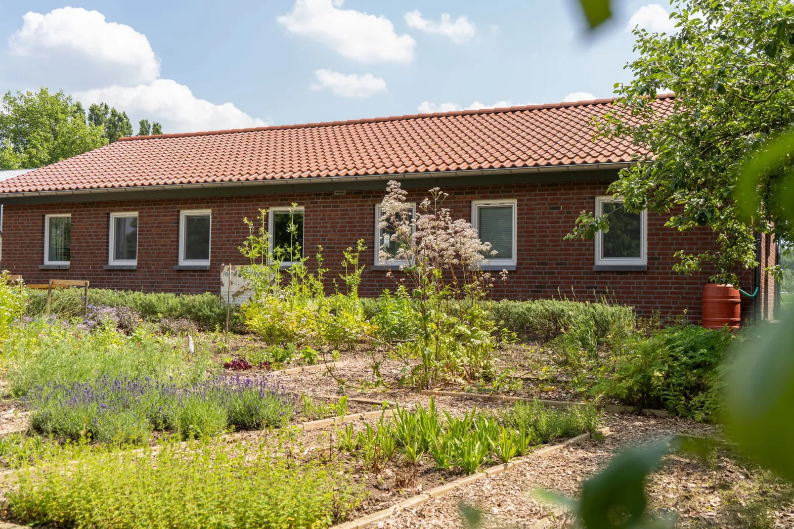 Luxe vakantiehuis-Buitenkant zomer