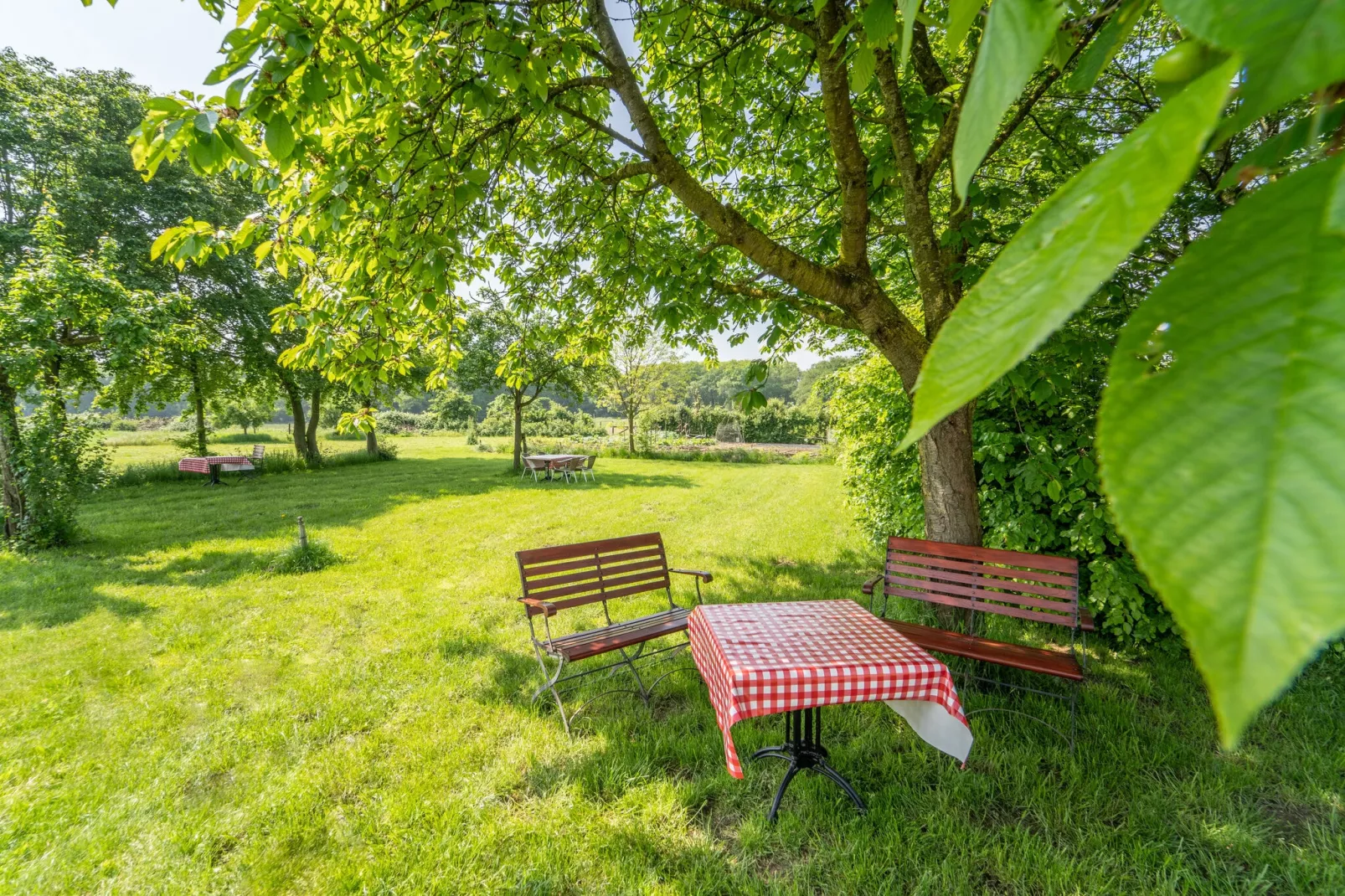 Luxe vakantiehuis-Tuinen zomer