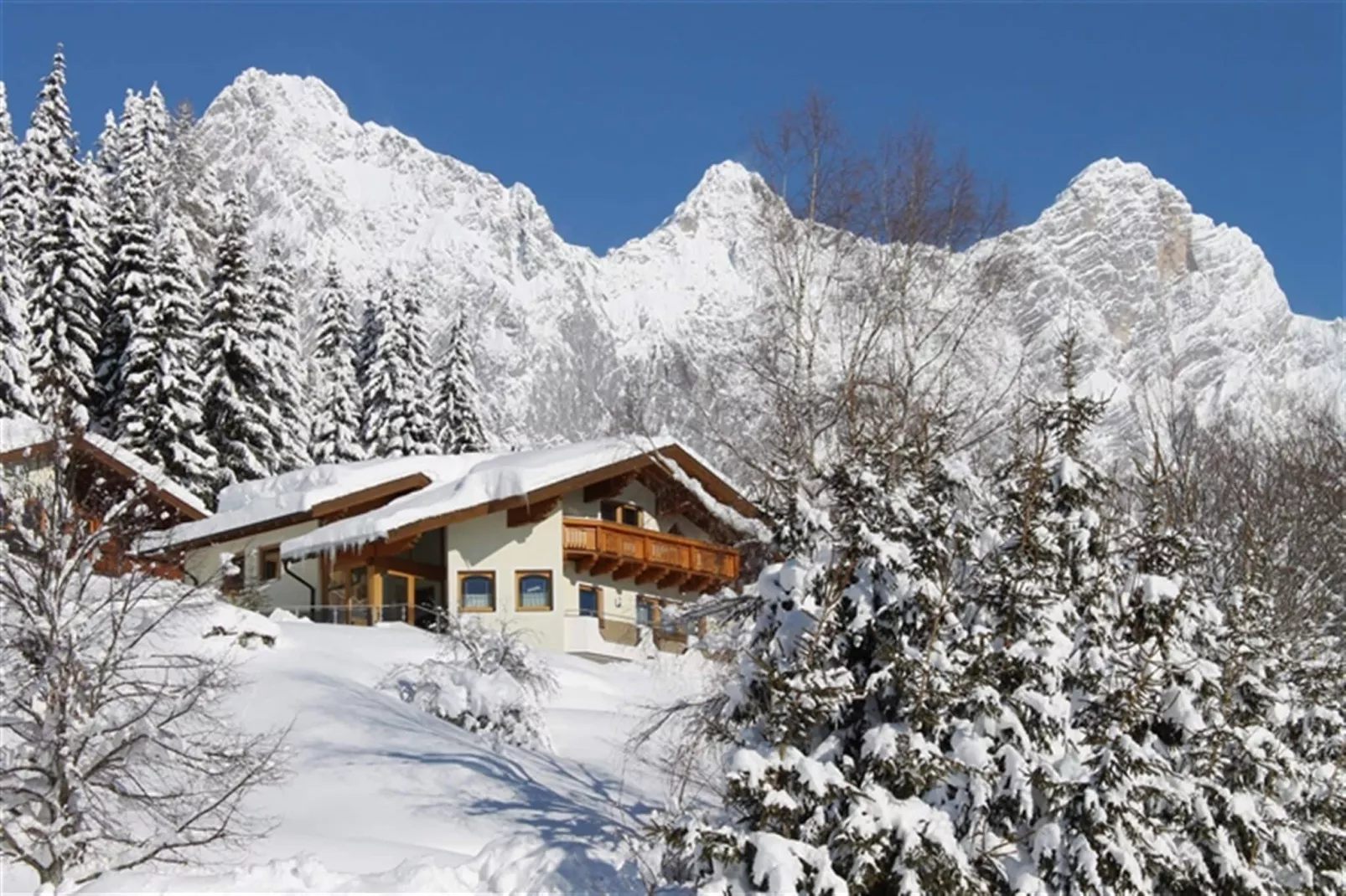 Ferienhaus Dachsteinheim-Tuin winter