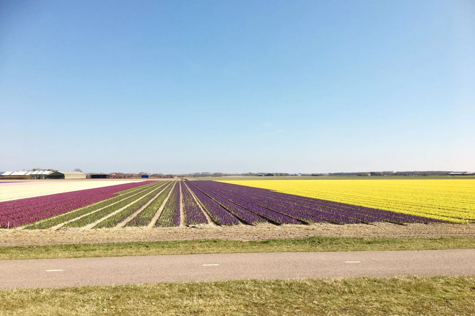 Cosy Hideout-Gebieden zomer 20km