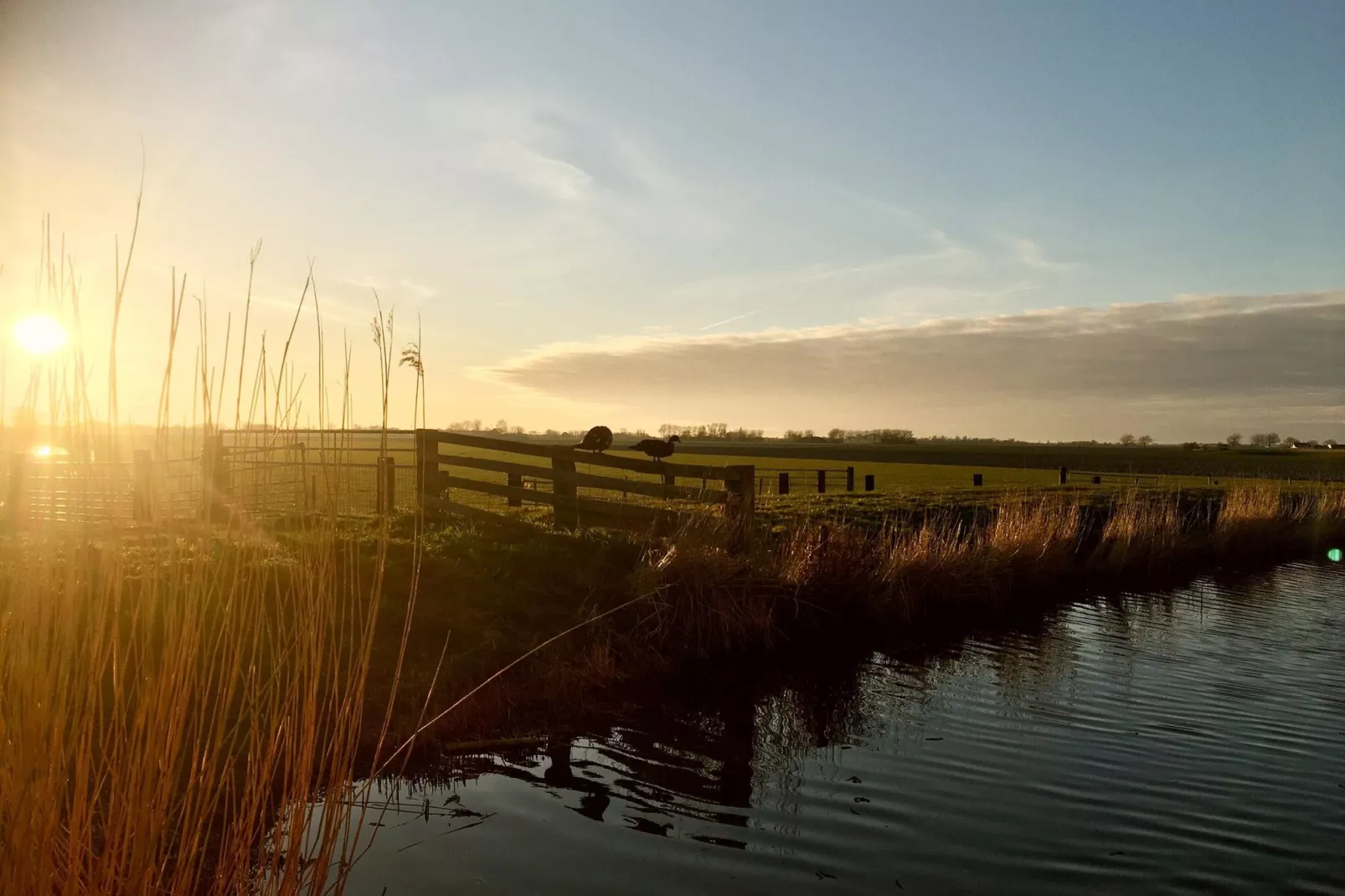 Cosy Hideout-Gebieden zomer 20km