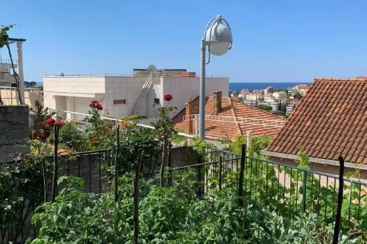 Dubrovnik Rooms 2 - Double Room with Shared Bathroom 4-Tuinen zomer