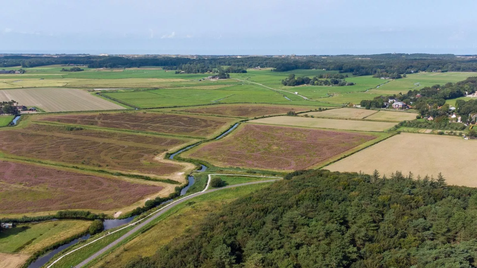 Bergens Roodborstje-Gebieden zomer 20km