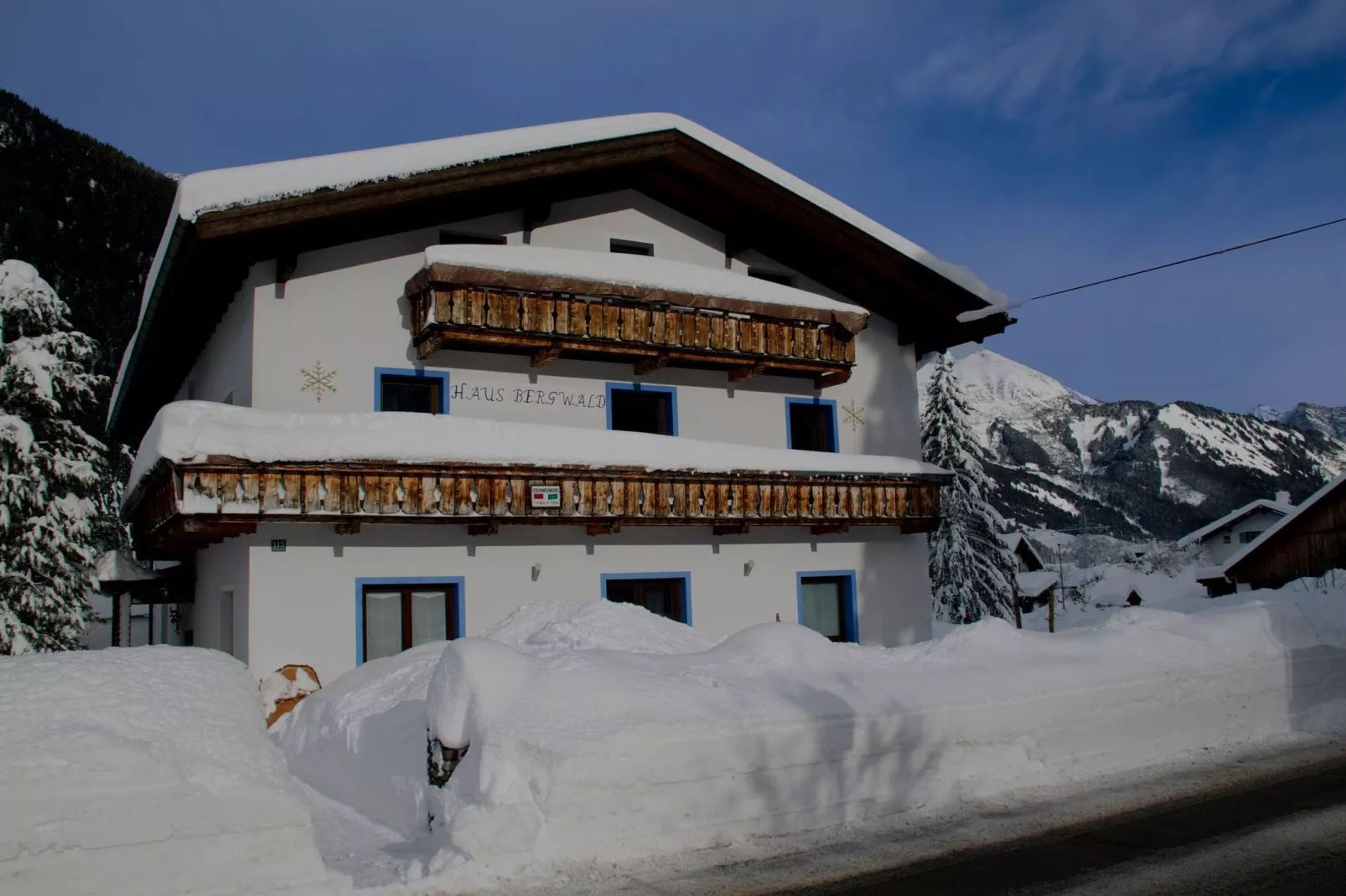 Haus Bergwald TOP 1-Exterieur winter