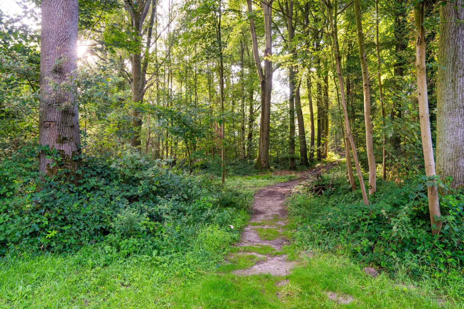 The Blue Lodge by YourNature-Tuinen zomer