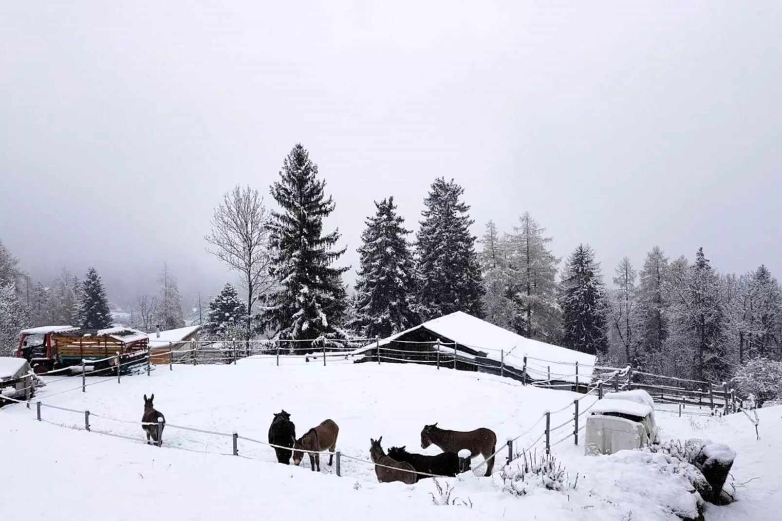 Chalet Verrel - boven-Gebied winter 1km