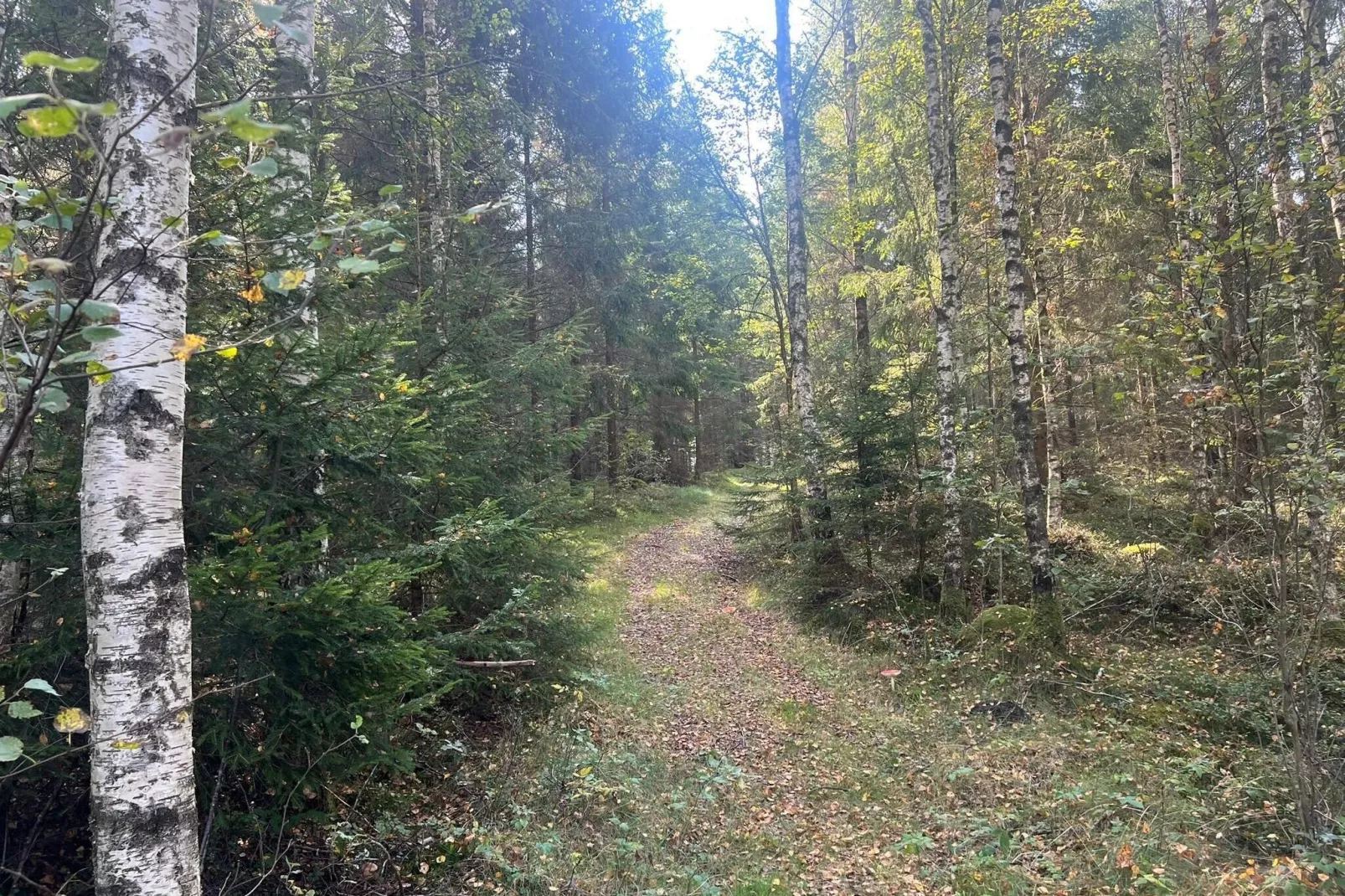 2 Personen vakantie huis in Burseryd-Buitenlucht