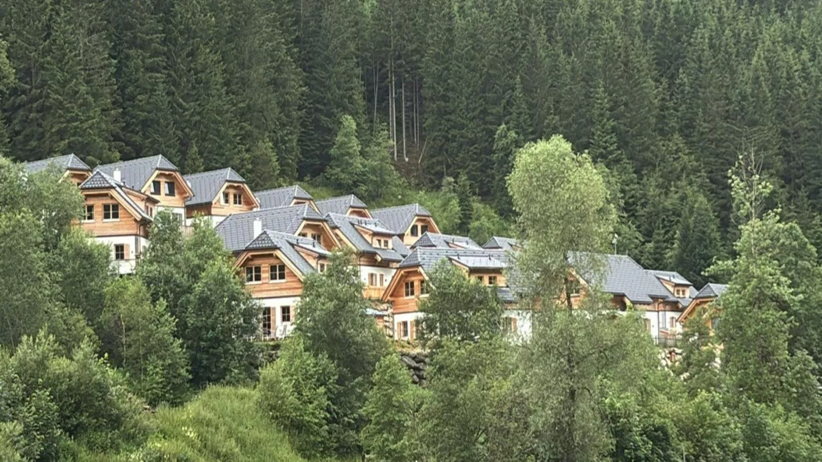 Sperlingnest-Gebieden zomer 5km