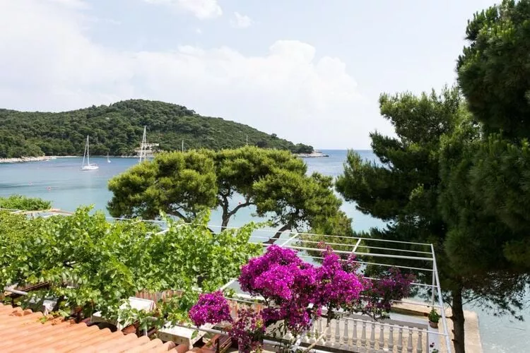 Apartmetns Franka Saplunara-One-Bedroom Apartment with Terrace and Sea View No2-Uitzicht