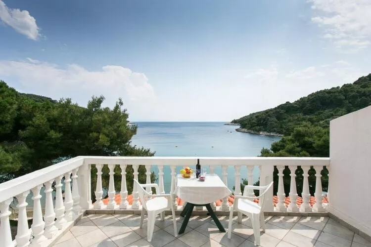 Apartmetns Franka Saplunara-One-Bedroom Apartment with Terrace and Sea View No2-Terras