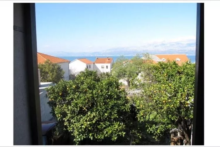 Apartment Glavica- Two Bedroom Apartment with Terrace - (ST)