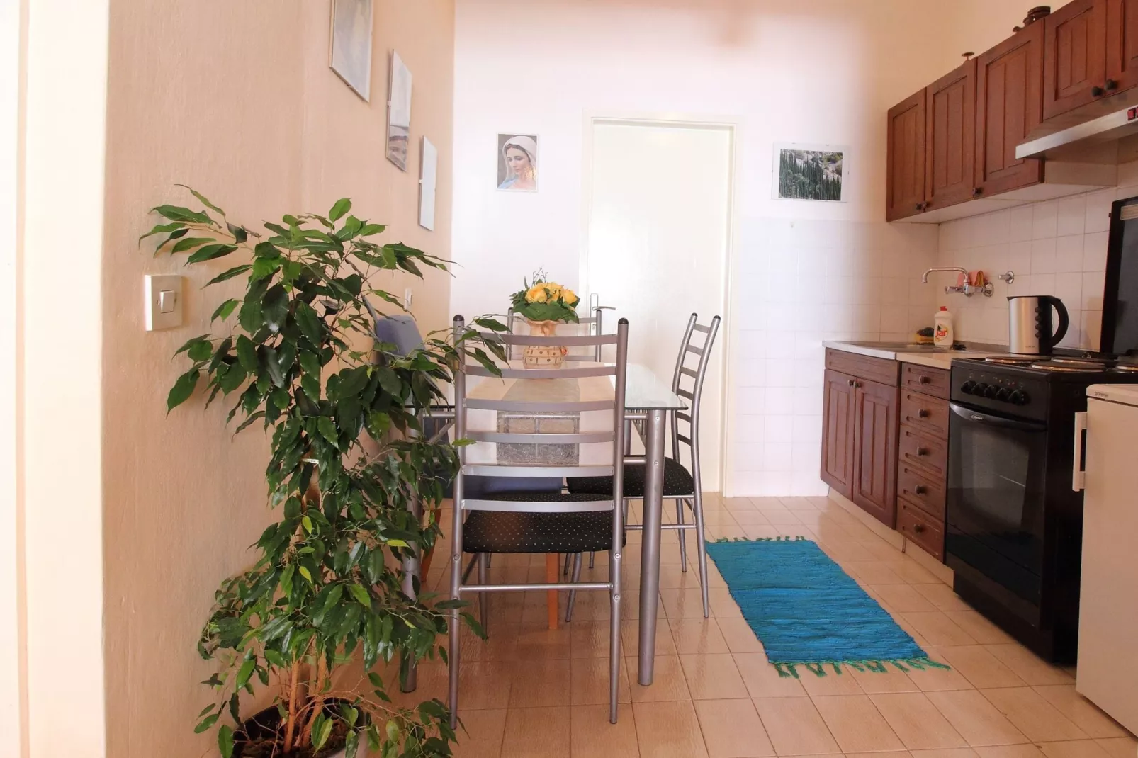 Apartments Magda- Comfort Studio Apartment with Patio and Garden View (Apartman 1)-Keuken