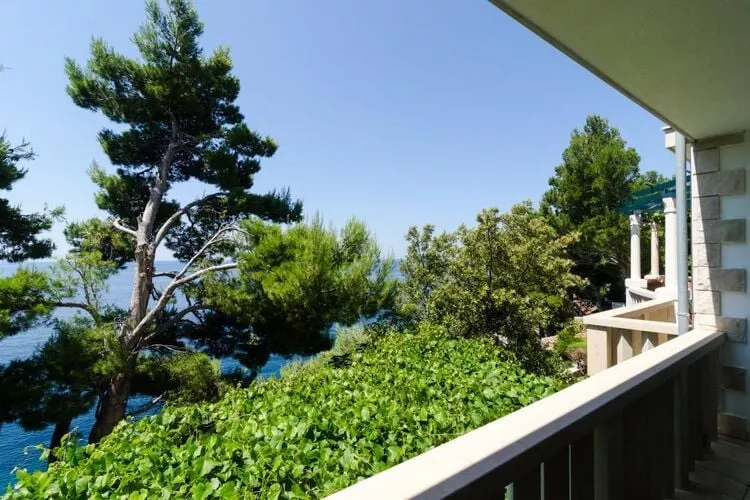 Apartments Plavac Mali- Three Bedroom Apartment with Terrace and Sea View-Terras