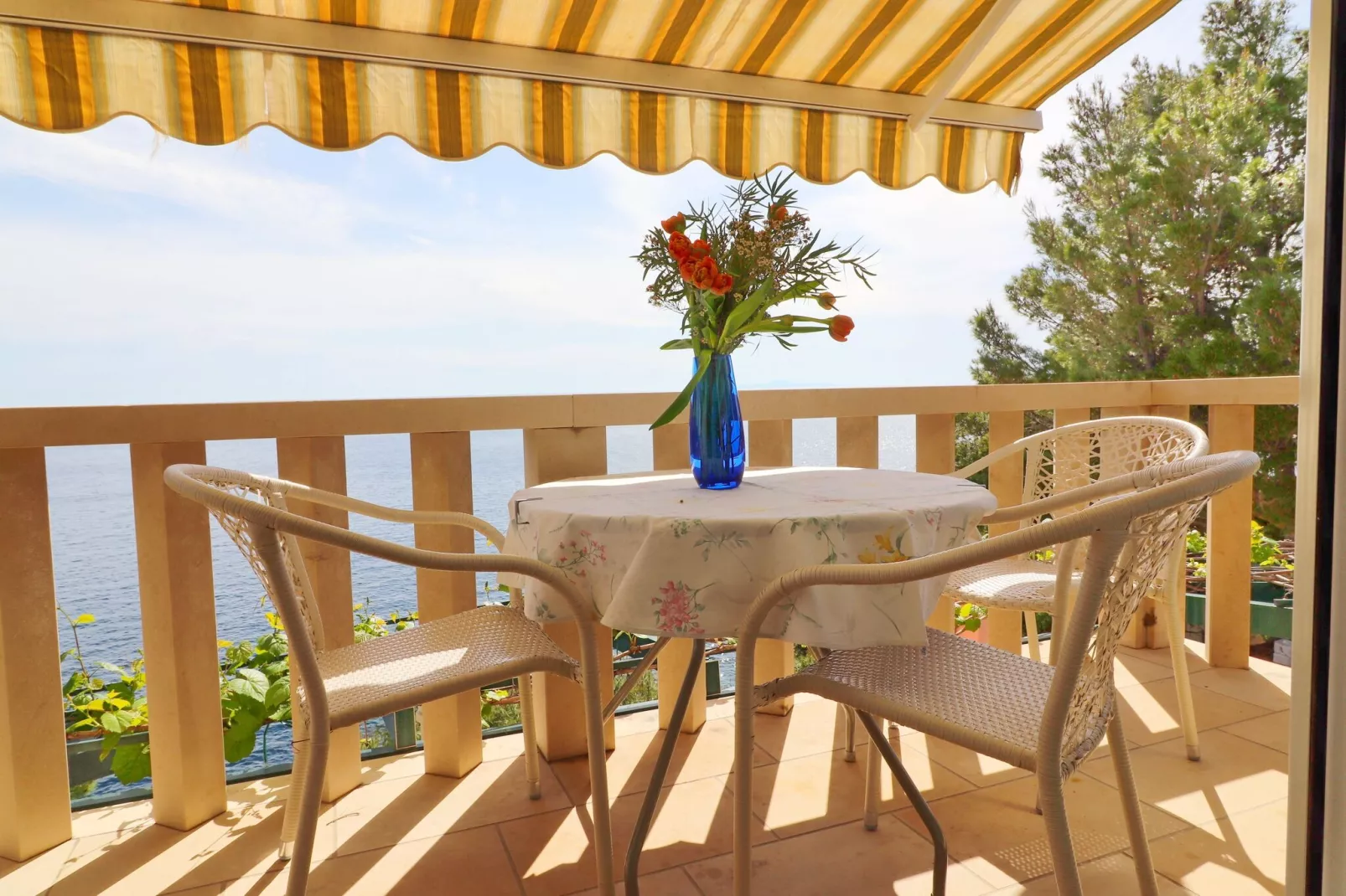 Apartments Plavac Mali- One Bedroom Apartment with Balcony and Sea View