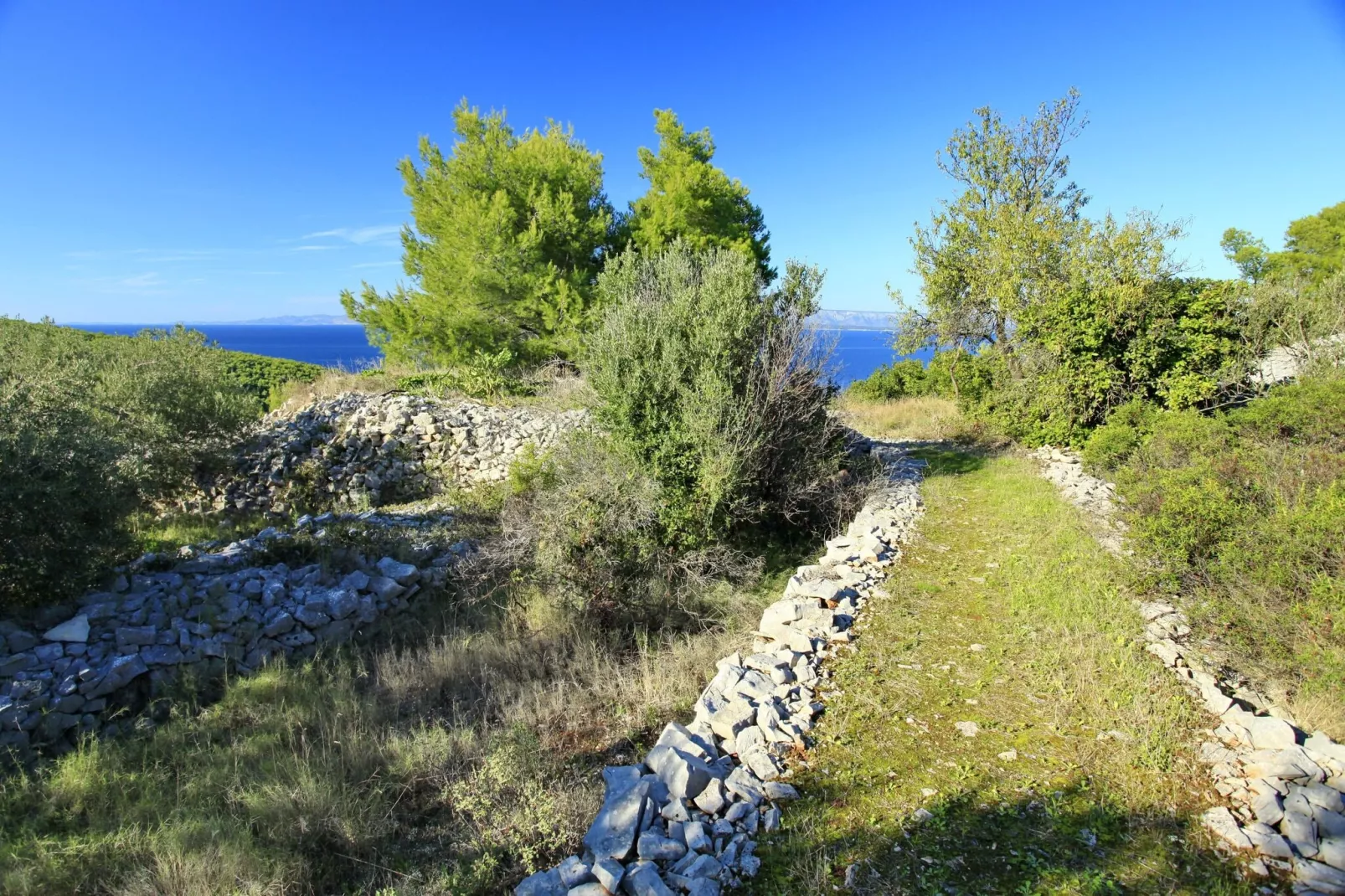 Stone House Oreb's Cottage - Two Bedroom Stone House with Terrace and Garden View-Tuinen zomer